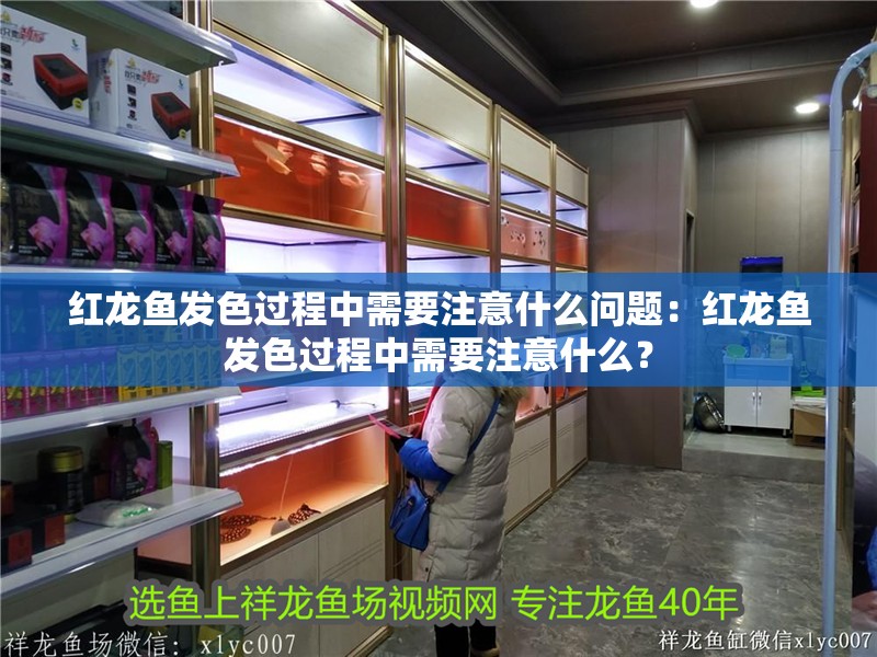 紅龍魚發(fā)色過程中需要注意什么問題：紅龍魚發(fā)色過程中需要注意什么？