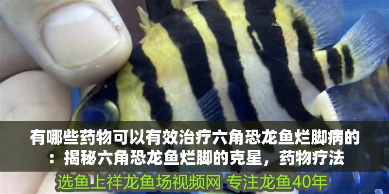 有哪些藥物可以有效治療六角恐龍魚爛腳病的：揭秘六角恐龍魚爛腳的克星，藥物療法