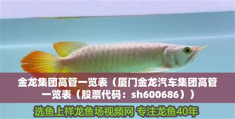 金龍集團(tuán)高管一覽表（廈門(mén)金龍汽車集團(tuán)高管一覽表（股票代碼：sh600686））