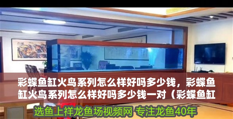 彩蝶魚缸火鳥系列怎么樣好嗎多少錢，彩蝶魚缸火鳥系列怎么樣好嗎多少錢一對（彩蝶魚缸火鳥系列怎么樣）