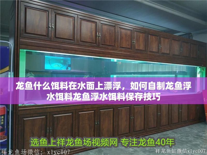 龍魚什么餌料在水面上漂浮，如何自制龍魚浮水餌料龍魚浮水餌料保存技巧