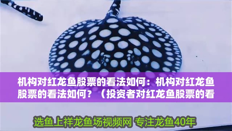 機構對紅龍魚股票的看法如何：機構對紅龍魚股票的看法如何？（投資者對紅龍魚股票的看法）