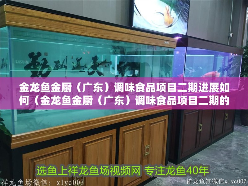 金龍魚金廚（廣東）調(diào)味食品項(xiàng)目二期進(jìn)展如何（金龍魚金廚（廣東）調(diào)味食品項(xiàng)目二期的進(jìn)展）