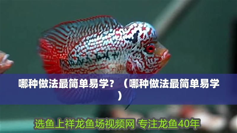 哪種做法最簡(jiǎn)單易學(xué)？（哪種做法最簡(jiǎn)單易學(xué)）