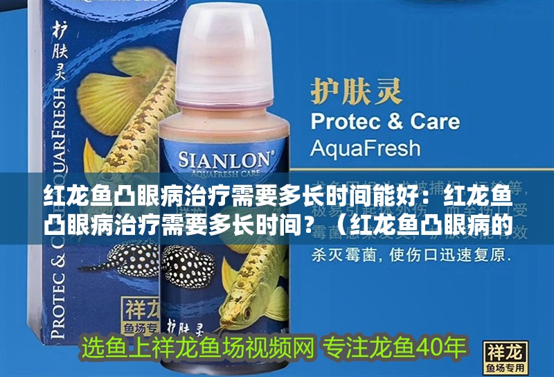 紅龍魚凸眼病治療需要多長時間能好：紅龍魚凸眼病治療需要多長時間？（紅龍魚凸眼病的治療過程）