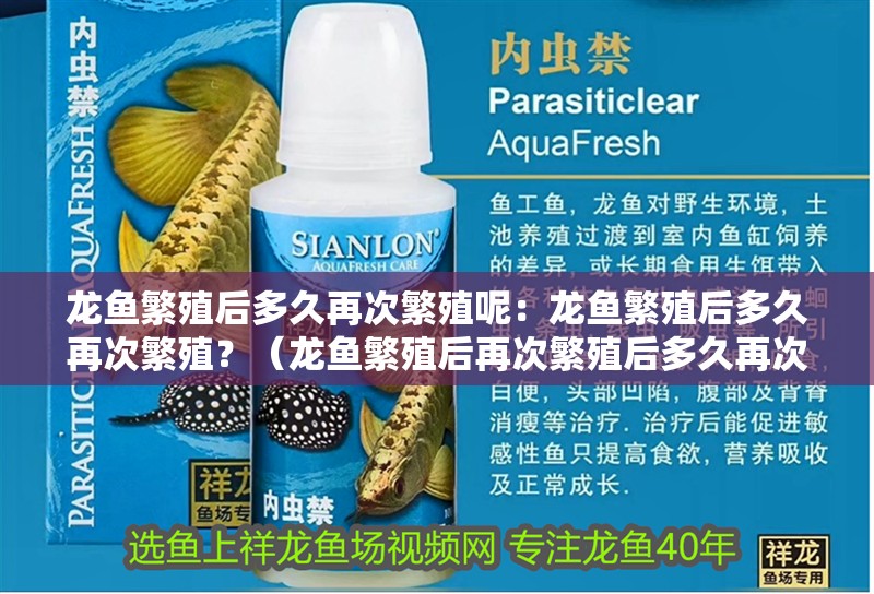 龍魚繁殖后多久再次繁殖呢：龍魚繁殖后多久再次繁殖？（龍魚繁殖后再次繁殖后多久再次繁殖龍魚再次繁殖時間）