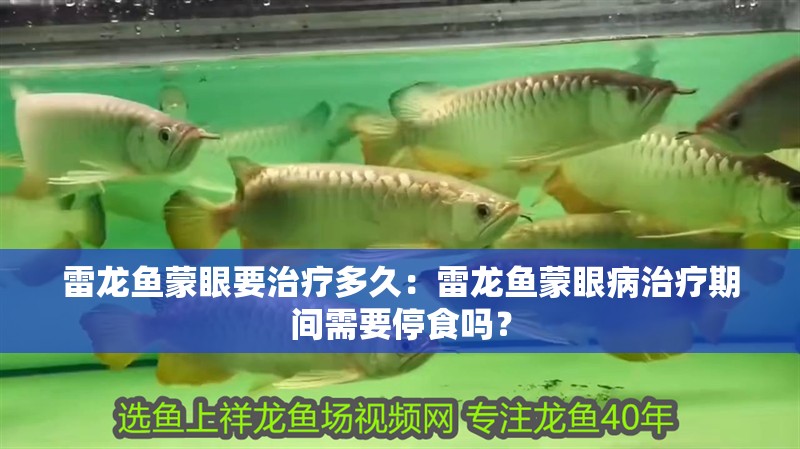 雷龍魚(yú)蒙眼要治療多久：雷龍魚(yú)蒙眼病治療期間需要停食嗎？