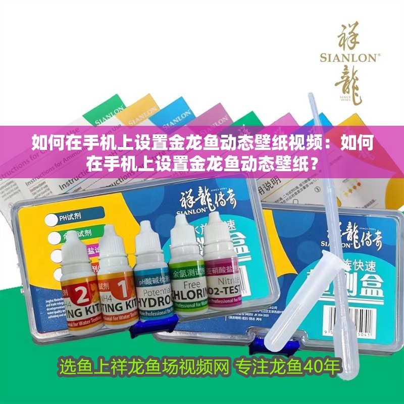 如何在手機上設置金龍魚動態壁紙視頻：如何在手機上設置金龍魚動態壁紙？