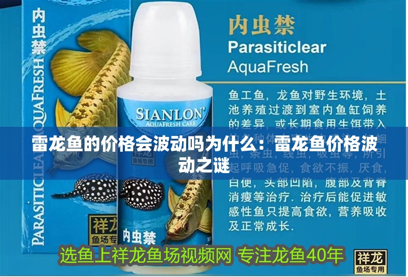 雷龍魚的價格會波動嗎為什么：雷龍魚價格波動之謎