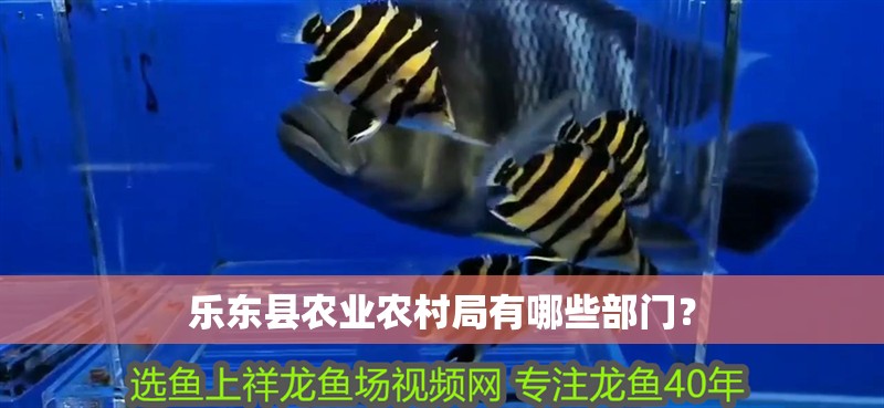 樂東縣農業農村局有哪些部門？