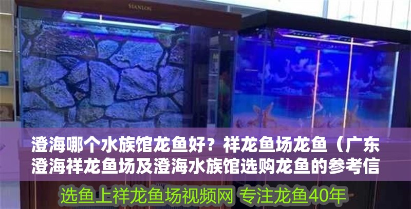 <strong><mark>澄海</mark></strong>哪個水族館龍魚好？祥龍魚場龍魚（廣東<strong><mark>澄海</mark></strong>祥龍魚場及<strong><mark>澄海</mark></strong>水族館選購龍魚的參考信息）