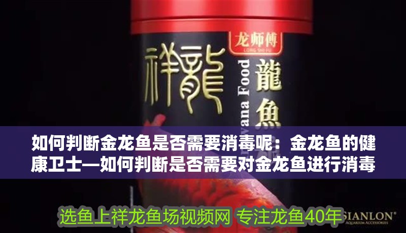 如何判斷金龍魚是否需要消毒呢：金龍魚的健康衛士—如何判斷是否需要對金龍魚進行消毒？
