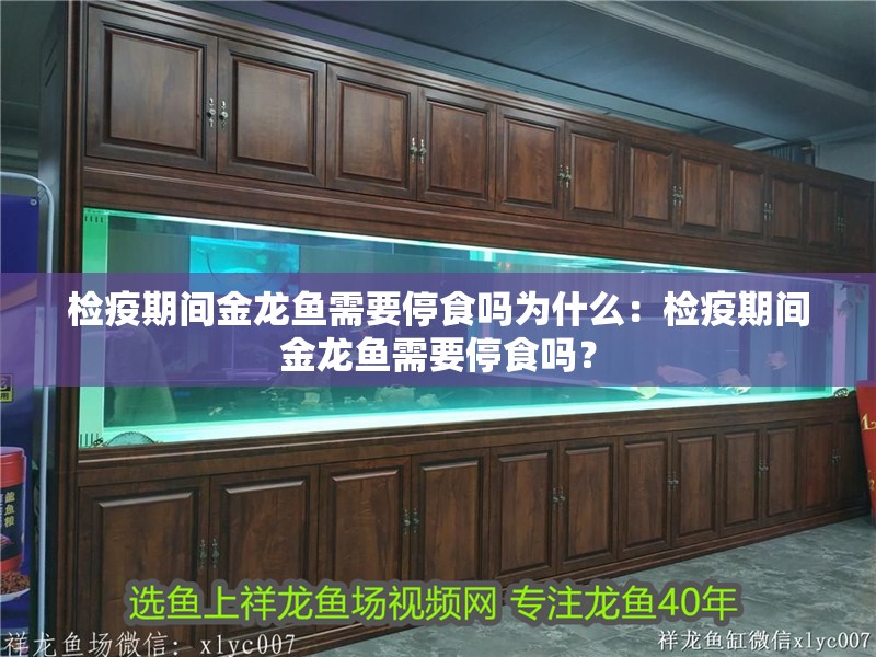 檢疫期間金龍魚需要停食嗎為什么：檢疫期間金龍魚需要停食嗎？