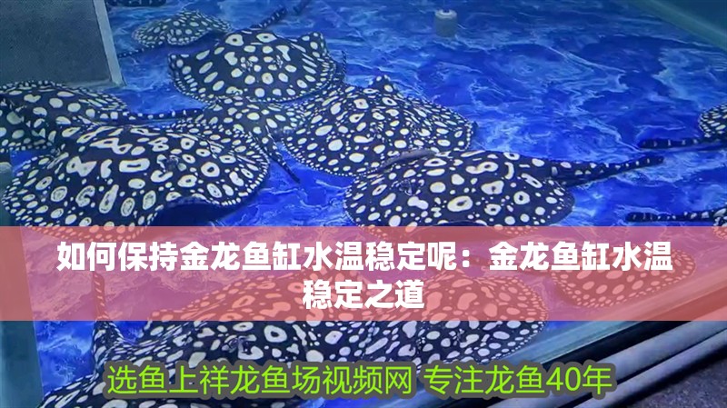 如何保持金龍魚缸水溫穩定呢：金龍魚缸水溫穩定之道