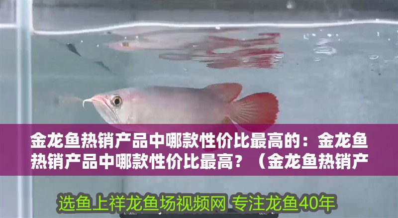 金龍魚熱銷產品中哪款性價比最高的：金龍魚熱銷產品中哪款性價比最高？（金龍魚熱銷產品中哪款性價比最高）