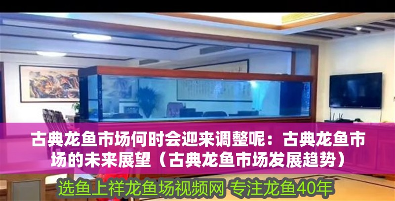 古典龍魚市場何時會迎來調整呢：古典龍魚市場的未來展望（古典龍魚市場發展趨勢）