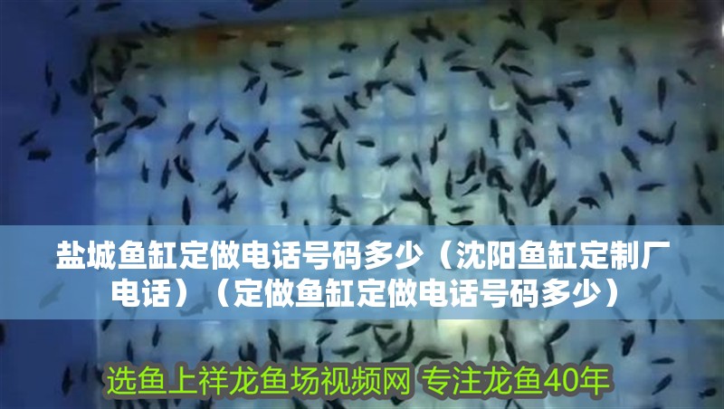 鹽城魚缸定做電話號(hào)碼多少（沈陽(yáng)魚缸定制廠電話）（定做魚缸定做電話號(hào)碼多少）