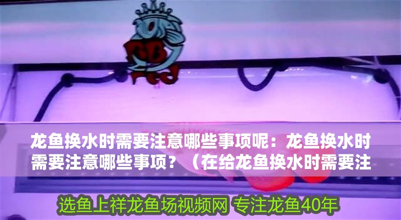 龍魚換水時(shí)需要注意哪些事項(xiàng)呢：龍魚換水時(shí)需要注意哪些事項(xiàng)？（在給龍魚換水時(shí)需要注意的一些事項(xiàng)）