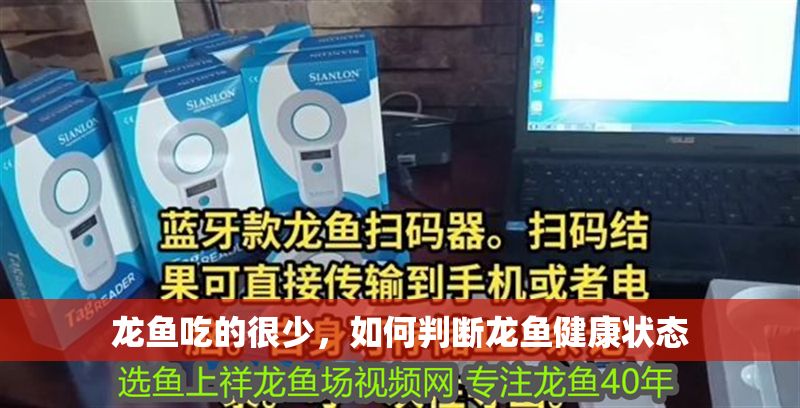 龍魚吃的很少，如何判斷龍魚健康狀態