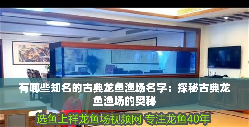 有哪些知名的古典龍魚漁場(chǎng)名字：探秘古典龍魚漁場(chǎng)的奧秘