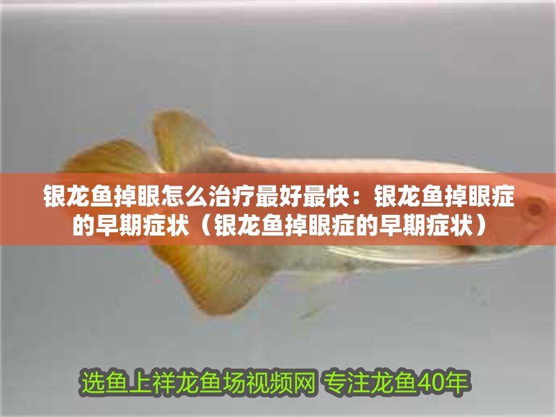 銀龍魚掉眼怎么治療最好最快：銀龍魚掉眼癥的早期癥狀（銀龍魚掉眼癥的早期癥狀）