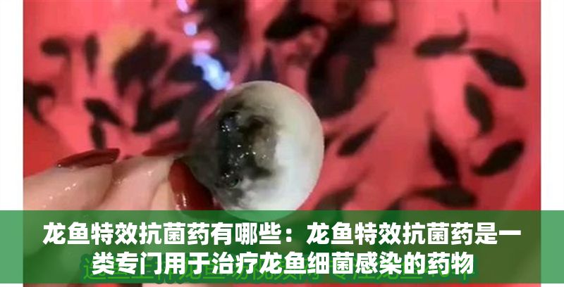 龍魚特效抗菌藥有哪些：龍魚特效抗菌藥是一類專門用于治療龍魚細(xì)菌感染的藥物