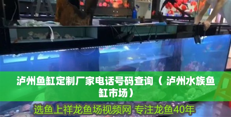 瀘州魚缸定制廠家電話號碼查詢（ 瀘州水族魚缸市場）