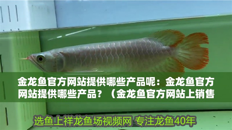 金龍魚官方網(wǎng)站提供哪些產(chǎn)品呢：金龍魚官方網(wǎng)站提供哪些產(chǎn)品？（金龍魚官方網(wǎng)站上銷售的調(diào)味品種類繁多金龍魚官方網(wǎng)站提供的產(chǎn)品）