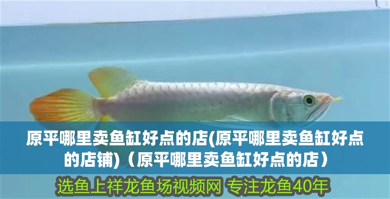 <strong><mark>原平</mark></strong>哪里賣魚缸好點的店(<strong><mark>原平</mark></strong>哪里賣魚缸好點的店鋪)（<strong><mark>原平</mark></strong>哪里賣魚缸好點的店）