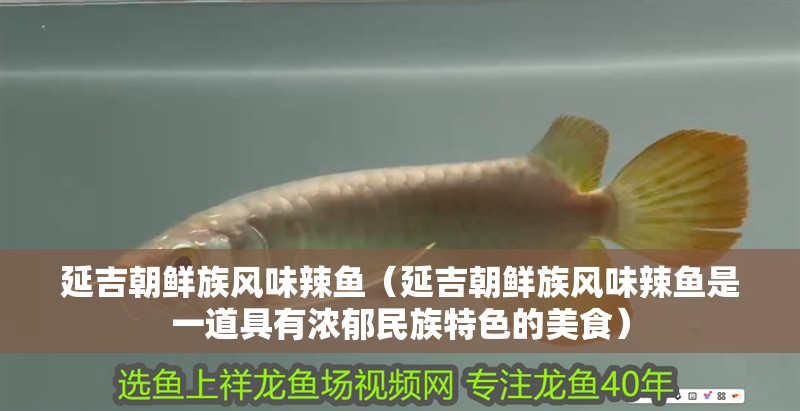 延吉朝鮮族風味辣魚（延吉朝鮮族風味辣魚是一道具有濃郁民族特色的美食）