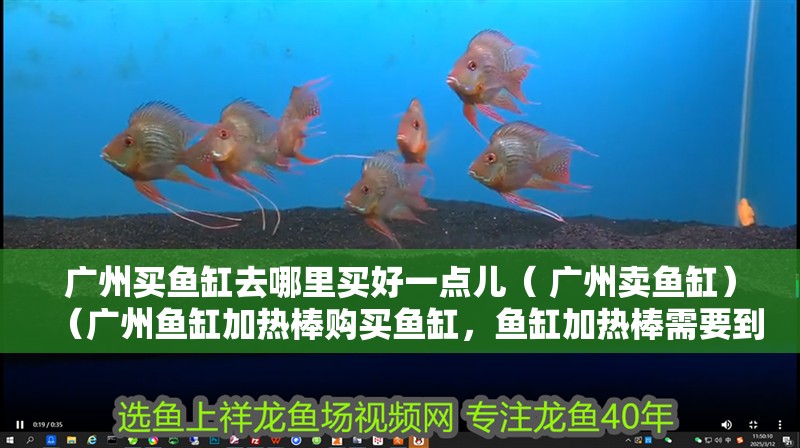 廣州買魚缸去哪里買好一點兒（ 廣州賣魚缸）（廣州魚缸加熱棒購買魚缸，魚缸加熱棒需要到哪里買好）