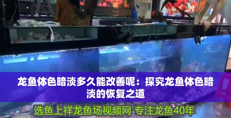 龍魚(yú)體色暗淡多久能改善呢：探究龍魚(yú)體色暗淡的恢復(fù)之道