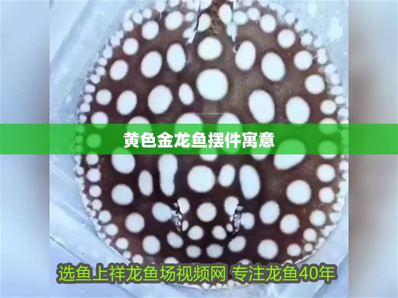 黃色金龍魚擺件寓意