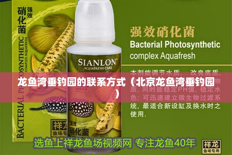 龍魚灣垂釣園的聯系方式（北京龍魚灣垂釣園）