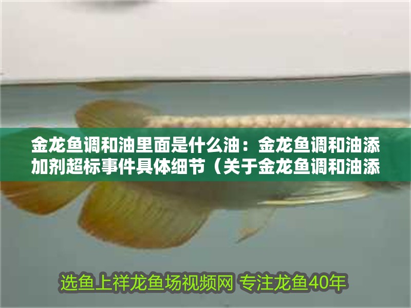 金龍魚調(diào)和油里面是什么油：金龍魚調(diào)和油添加劑超標(biāo)事件具體細(xì)節(jié)（關(guān)于金龍魚調(diào)和油添加劑超標(biāo)事件的建議）