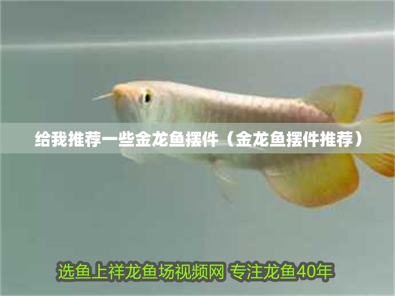 給我推薦一些金龍魚擺件（金龍魚擺件推薦）