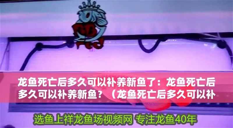 龍魚死亡后多久可以補養新魚了：龍魚死亡后多久可以補養新魚？（龍魚死亡后多久可以補養新魚）