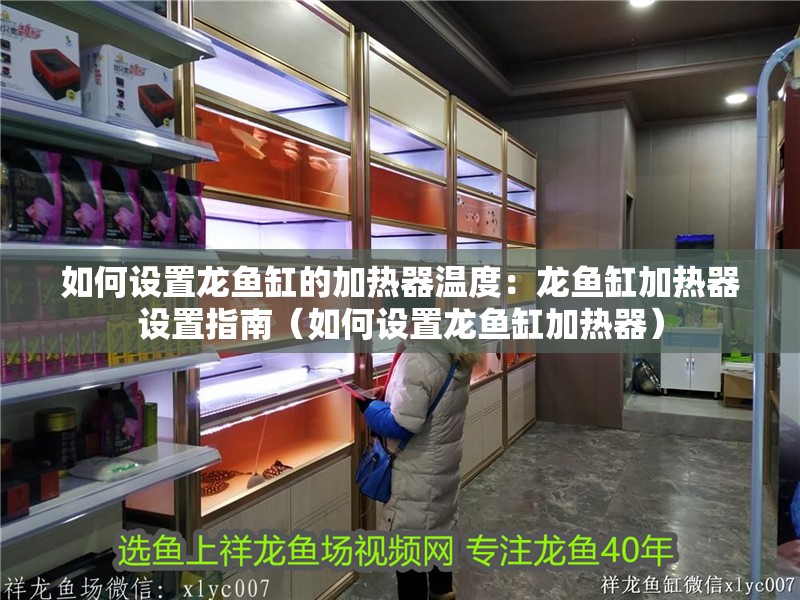 如何設置龍魚缸的加熱器溫度：龍魚缸加熱器設置指南（如何設置龍魚缸加熱器）