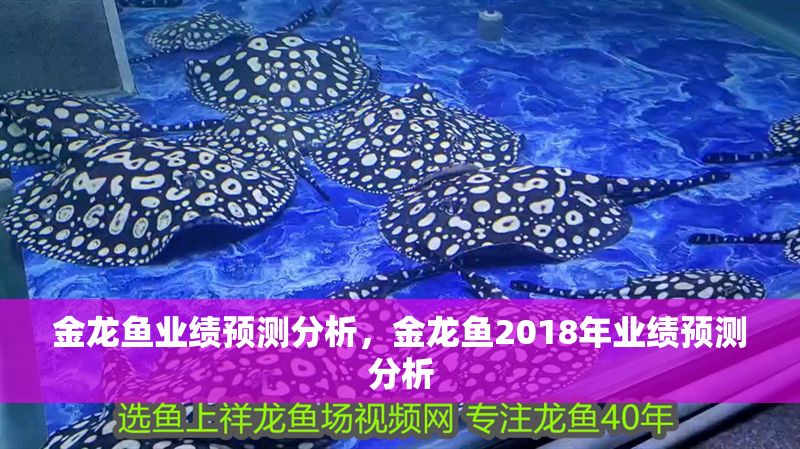 金龍魚業(yè)績預(yù)測分析，金龍魚2018年業(yè)績預(yù)測分析