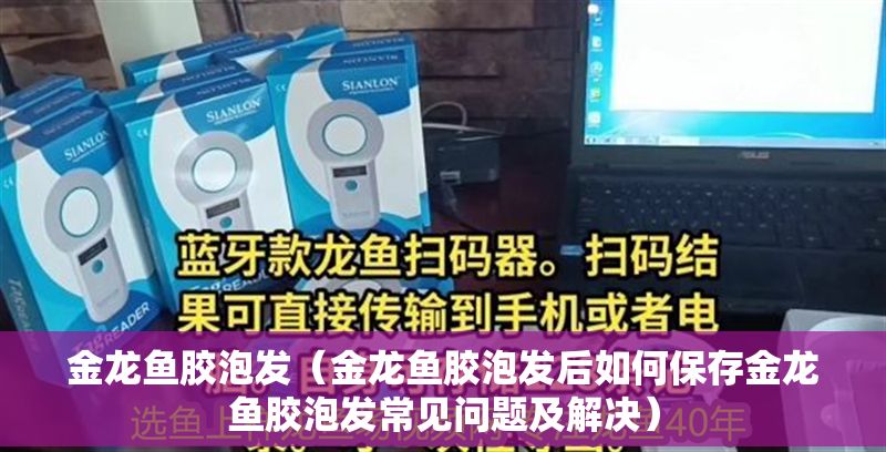 金龍魚膠泡發（金龍魚膠泡發后如何保存金龍魚膠泡發常見問題及解決）