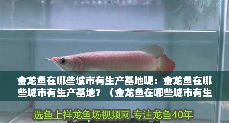 金龍魚(yú)在哪些城市有生產(chǎn)基地呢：金龍魚(yú)在哪些城市有生產(chǎn)基地？（金龍魚(yú)在哪些城市有生產(chǎn)基地） 金龍魚(yú)在哪些城市有生產(chǎn)基地呢：金龍魚(yú)在哪些城市有生產(chǎn)基地？（金龍魚(yú)在哪些城市有生產(chǎn)基地） 水族問(wèn)答
