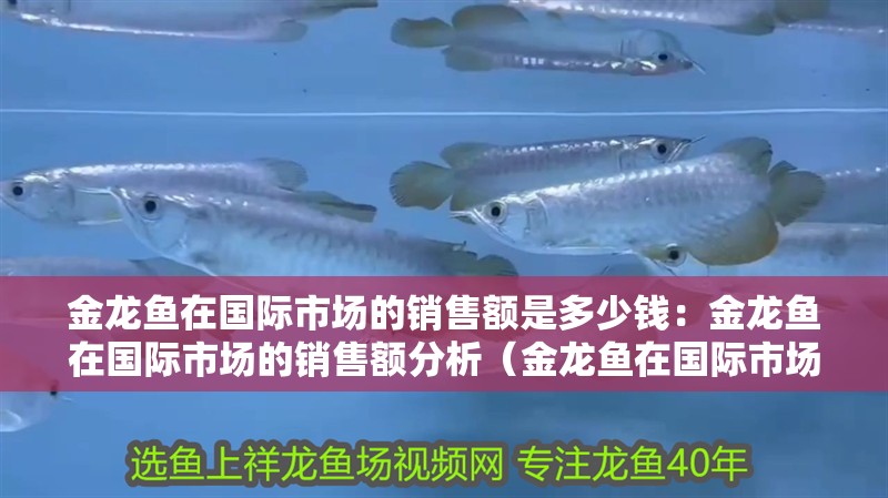 金龍魚在國際市場的銷售額是多少錢：金龍魚在國際市場的銷售額分析（金龍魚在國際市場上的成功因素）