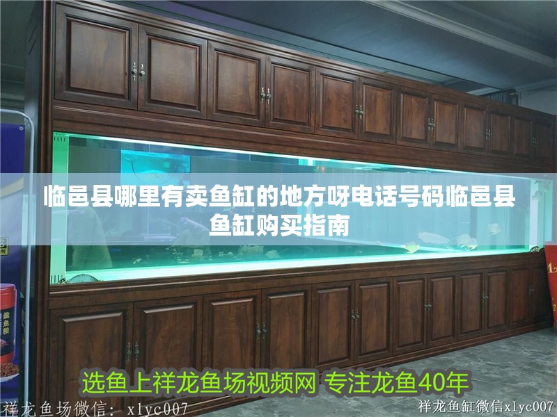 臨邑縣哪里有賣魚缸的地方呀電話號碼臨邑縣魚缸購買指南