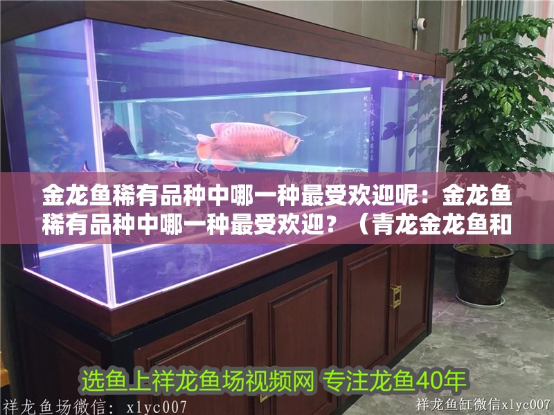 金龍魚稀有品種中哪一種最受歡迎呢：金龍魚稀有品種中哪一種最受歡迎？（青龍金龍魚和紅龍金龍魚哪個好）