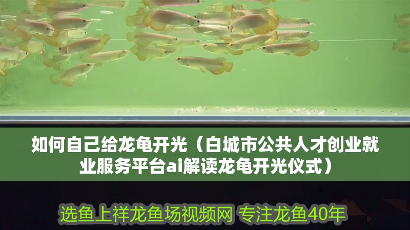 如何自己給龍龜開(kāi)光（白城市公共人才創(chuàng)業(yè)就業(yè)服務(wù)平臺(tái)ai解讀龍龜開(kāi)光儀式）