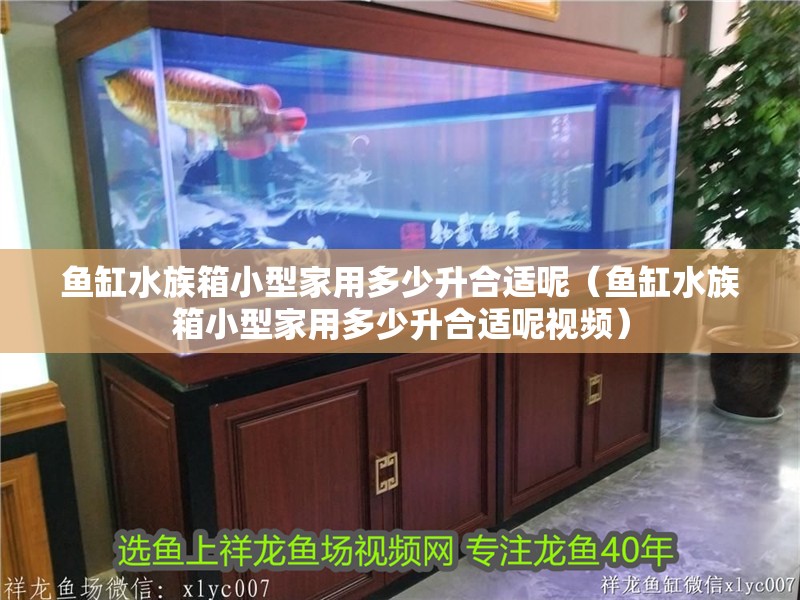 魚缸水族箱小型家用多少升合適呢（魚缸水族箱小型家用多少升合適呢視頻）
