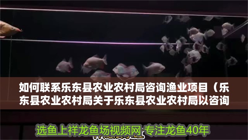 如何聯系樂東縣農業農村局咨詢漁業項目（樂東縣農業農村局關于樂東縣農業農村局以咨詢漁業項目的公告）