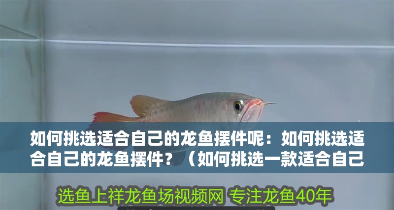 如何挑選適合自己的龍魚擺件呢：如何挑選適合自己的龍魚擺件？（如何挑選一款適合自己的龍魚擺件）