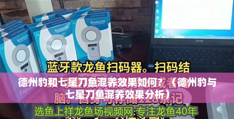 德州豹和七星刀魚混養(yǎng)效果如何？（德州豹與七星刀魚混養(yǎng)效果分析）