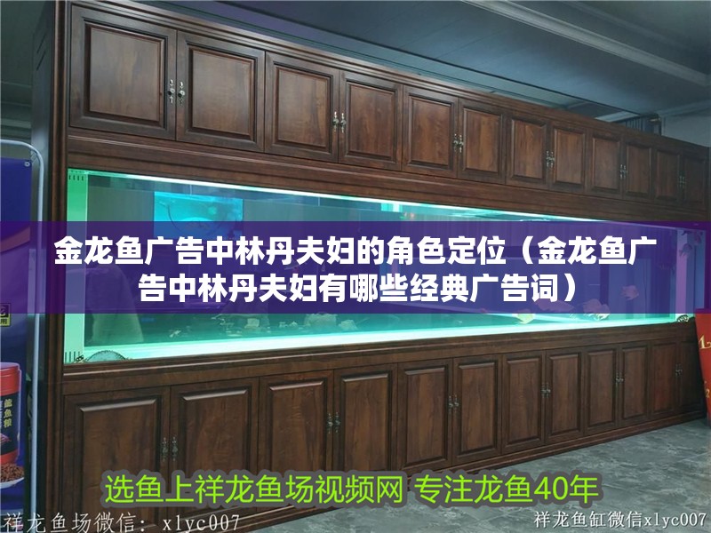 金龍魚廣告中林丹夫婦的角色定位（金龍魚廣告中林丹夫婦有哪些經典廣告詞）